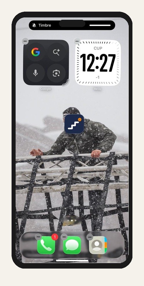 El sistema como icono en la pantalla de inicio de un iPhone